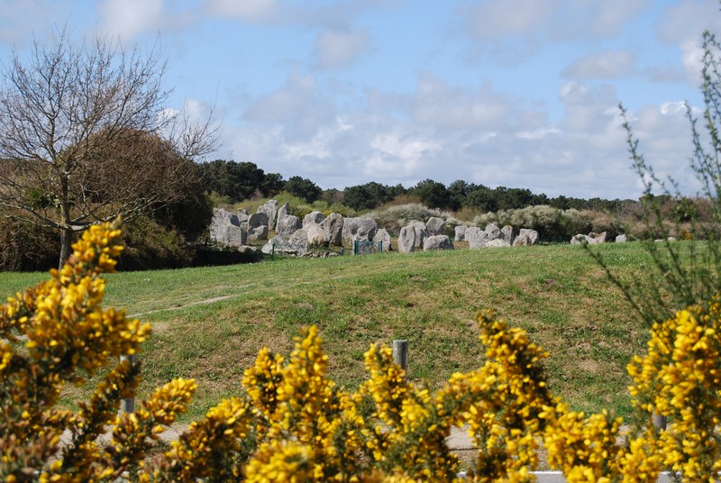 http://www.location-camping-car-auray-morbihan-bretagne.com/wp-content/uploads/wppa/1887.jpg?ver=2