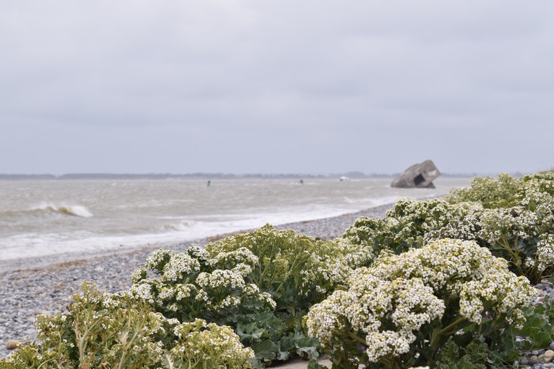 https://www.location-camping-car-auray-morbihan-bretagne.com/wp-content/uploads/wppa/3198.jpg?ver=2