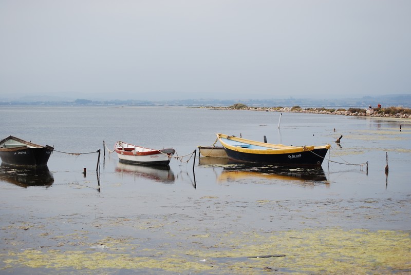 https://www.location-camping-car-auray-morbihan-bretagne.com/wp-content/uploads/wppa/3236.jpg?ver=2