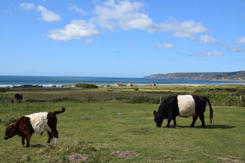 https://www.location-camping-car-auray-morbihan-bretagne.com/wp-content/uploads/wppa/4078.jpg?ver=2