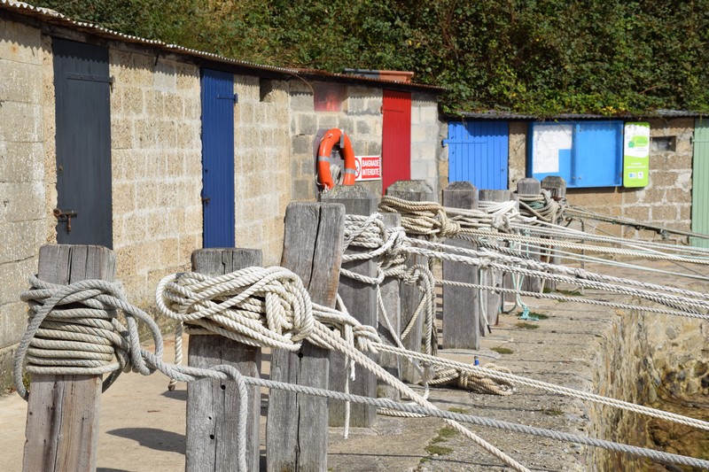 https://www.location-camping-car-auray-morbihan-bretagne.com/wp-content/uploads/wppa/4090.jpg?ver=2