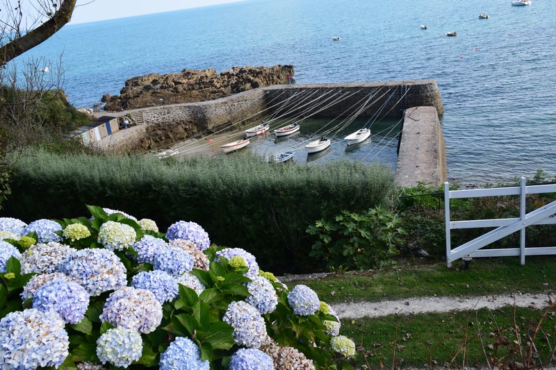 https://www.location-camping-car-auray-morbihan-bretagne.com/wp-content/uploads/wppa/4092.jpg?ver=2