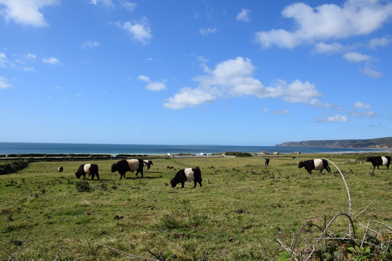 https://www.location-camping-car-auray-morbihan-bretagne.com/wp-content/uploads/wppa/4294.jpg?ver=2