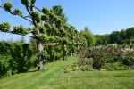 Les jardins de Valloire (47).JPG